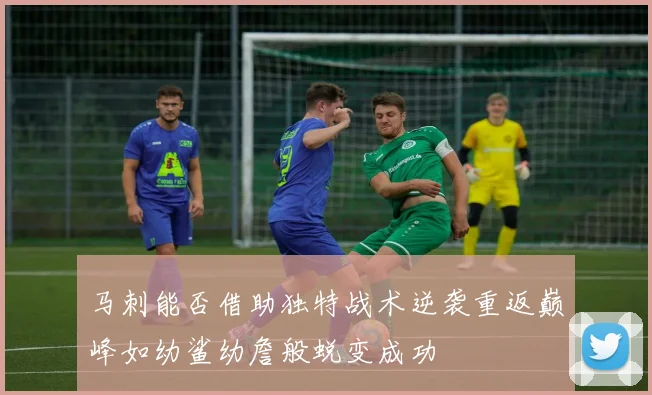 马刺能否借助独特战术逆袭重返巅峰如幼鲨幼詹般蜕变成功